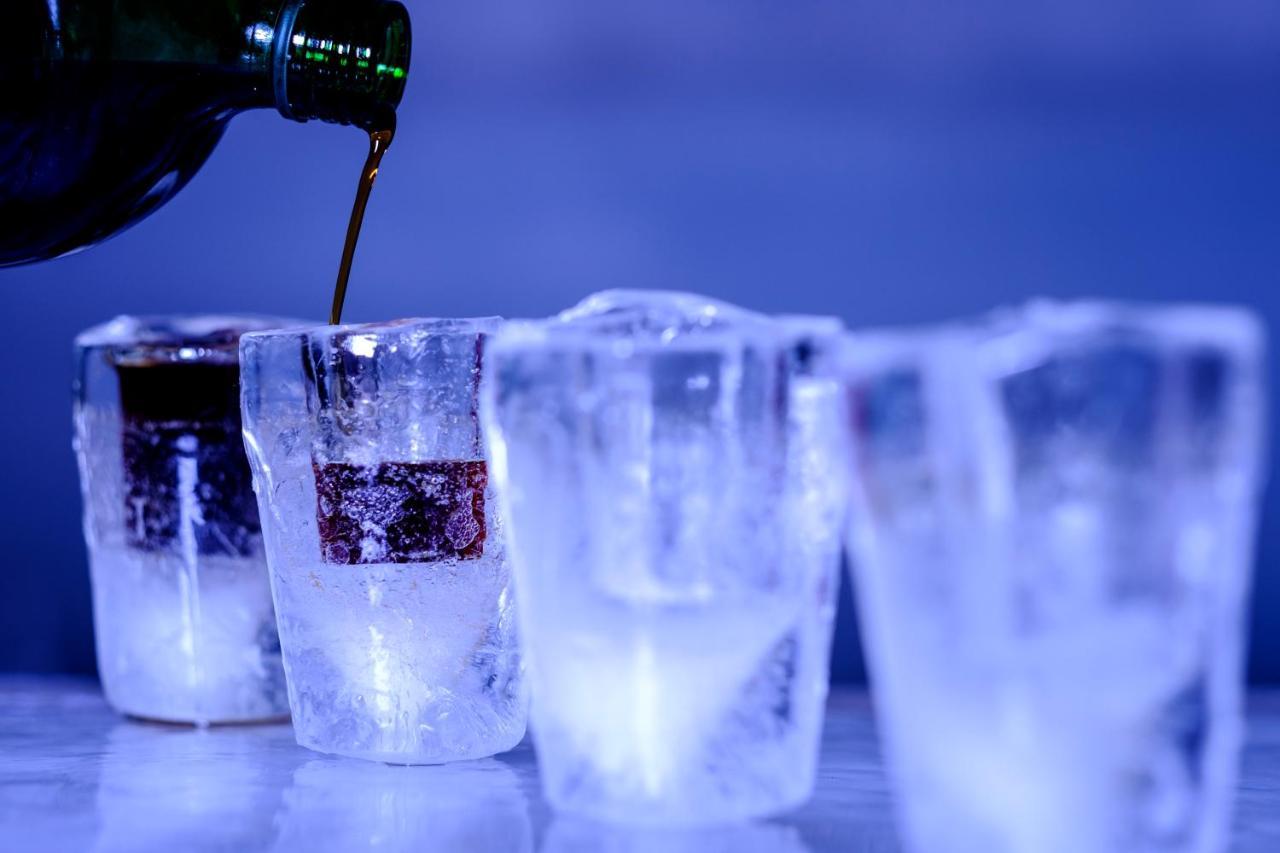 Hotel Of Ice Transylvania Cîrţişoara Екстериор снимка